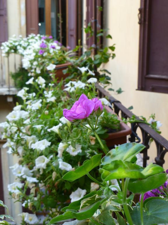 Protezione Della Giovane - Female Hostel Verona Eksteriør bilde
